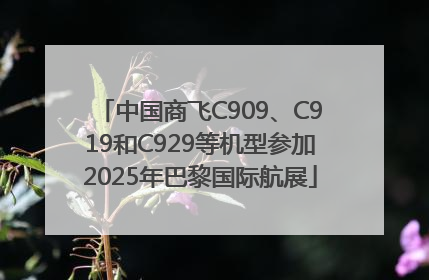 中国商飞C909、C919和C929等机型参加2025年巴黎国际航展