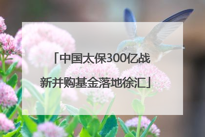 中国太保300亿战新并购基金落地徐汇