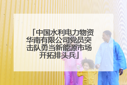 中国水利电力物资华南有限公司党员突击队勇当新能源市场开拓排头兵