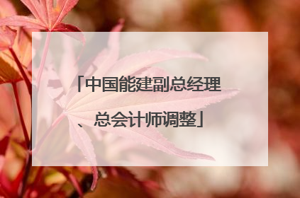 中国能建副总经理、总会计师调整