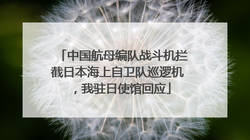 中国航母编队战斗机拦截日本海上自卫队巡逻机，我驻日使馆回应