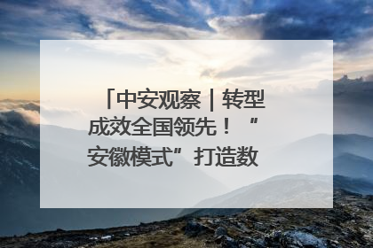 中安观察｜转型成效全国领先！“安徽模式”打造数字化转型新标杆