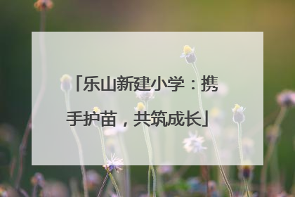 乐山新建小学：携手护苗，共筑成长