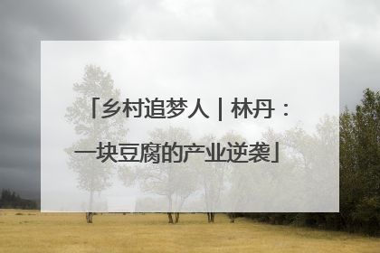 乡村追梦人｜林丹：一块豆腐的产业逆袭