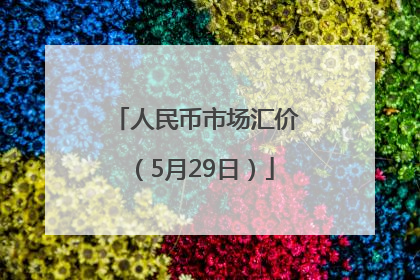 人民币市场汇价（5月29日）