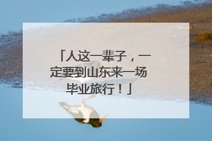 人这一辈子，一定要到山东来一场毕业旅行！