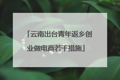 云南出台青年返乡创业做电商若干措施