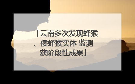 云南多次发现蜂猴、倭蜂猴实体 监测获阶段性成果