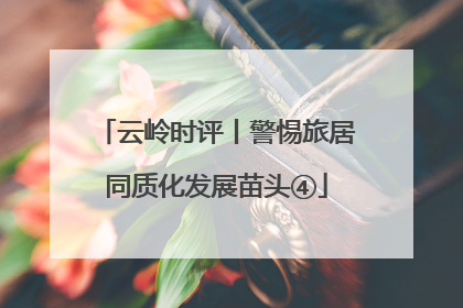 云岭时评丨警惕旅居同质化发展苗头④