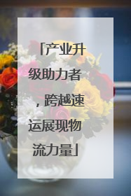 产业升级助力者，跨越速运展现物流力量