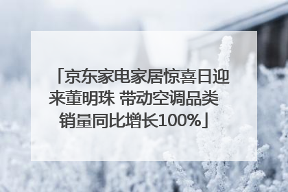 京东家电家居惊喜日迎来董明珠 带动空调品类销量同比增长100%
