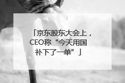 京东股东大会上，CEO称“今天用国补下了一单”