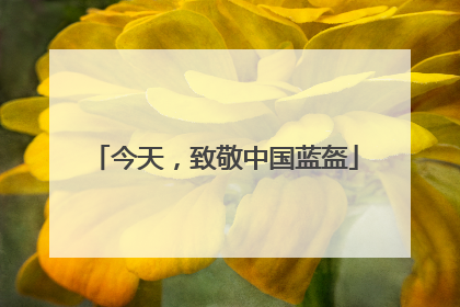 今天，致敬中国蓝盔
