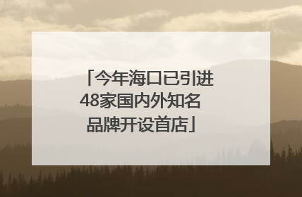 今年海口已引进48家国内外知名品牌开设首店