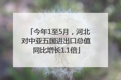 今年1至5月，河北对中亚五国进出口总值同比增长1.1倍