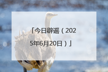 今日辟谣（2025年6月20日）
