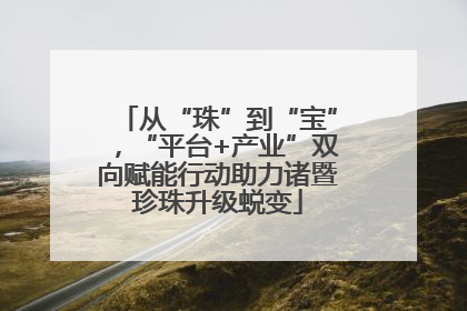 从“珠”到“宝”，“平台+产业”双向赋能行动助力诸暨珍珠升级蜕变