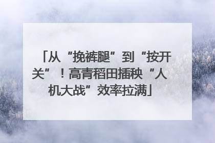 从“挽裤腿”到“按开关”！高青稻田插秧“人机大战”效率拉满