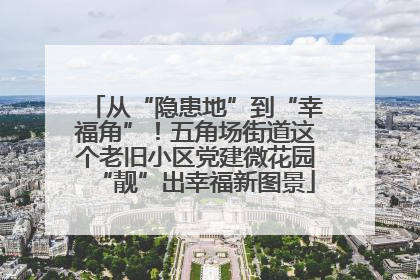 从“隐患地”到“幸福角”！五角场街道这个老旧小区党建微花园“靓”出幸福新图景