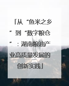 从“鱼米之乡”到“数字粮仓”：湖南粮油产业高质量发展的创新实践