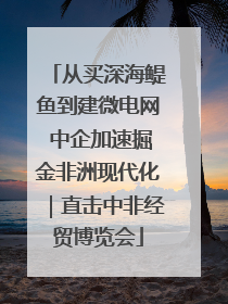 从买深海鳀鱼到建微电网 中企加速掘金非洲现代化｜直击中非经贸博览会