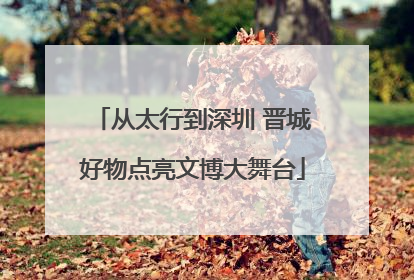 从太行到深圳 晋城好物点亮文博大舞台