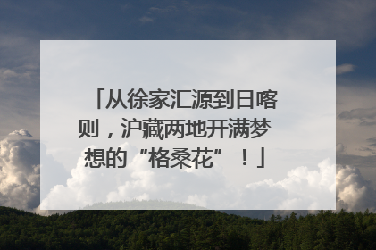 从徐家汇源到日喀则，沪藏两地开满梦想的“格桑花”！