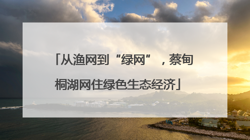 从渔网到“绿网”，蔡甸桐湖网住绿色生态经济
