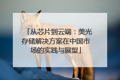 从芯片到云端：美光存储解决方案在中国市场的实践与展望