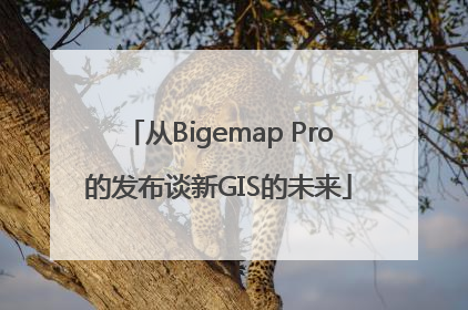从Bigemap Pro的发布谈新GIS的未来