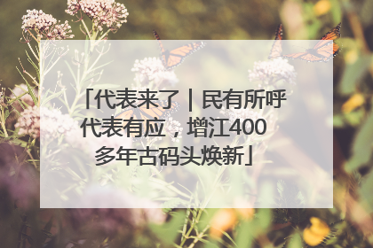 代表来了｜民有所呼代表有应，增江400多年古码头焕新
