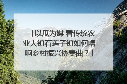 以瓜为媒 看传统农业大镇石莲子镇如何唱响乡村振兴协奏曲？