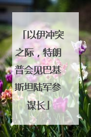 以伊冲突之际，特朗普会见巴基斯坦陆军参谋长