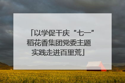 以学促干庆“七一” 稻花香集团党委主题实践走进百里荒