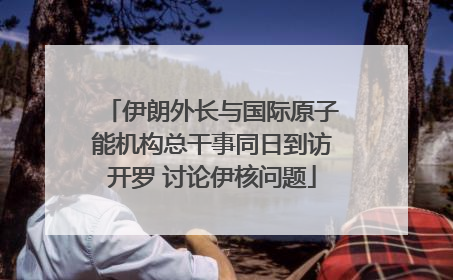 伊朗外长与国际原子能机构总干事同日到访开罗 讨论伊核问题