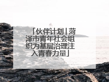 伙伴计划│菏泽市青年社会组织为基层治理注入青春力量