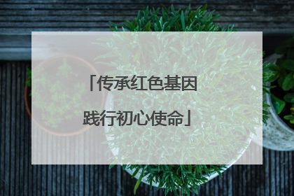 传承红色基因 践行初心使命