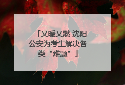 又暖又燃 沈阳公安为考生解决各类“难题”