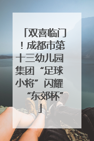 双喜临门！成都市第十三幼儿园集团“足球小将”闪耀“东郊杯”