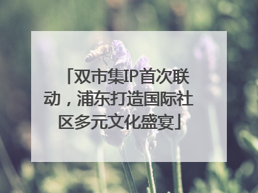 双市集IP首次联动，浦东打造国际社区多元文化盛宴