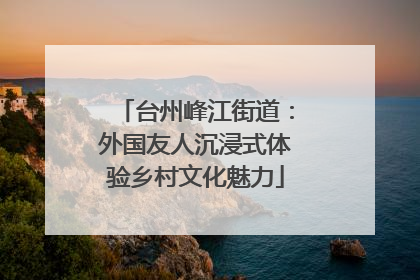 台州峰江街道：外国友人沉浸式体验乡村文化魅力