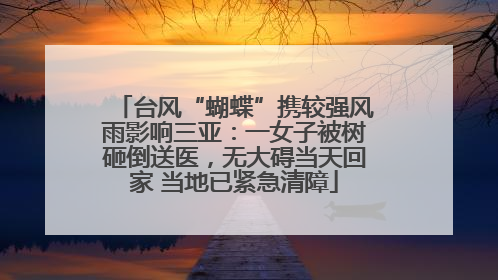 台风“蝴蝶”携较强风雨影响三亚：一女子被树砸倒送医，无大碍当天回家 当地已紧急清障