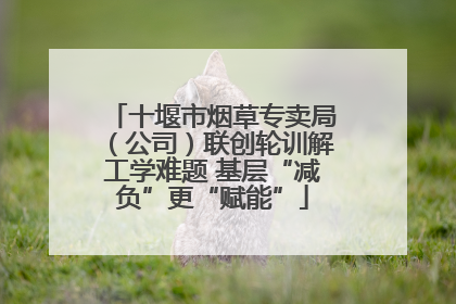 十堰市烟草专卖局（公司）联创轮训解工学难题 基层“减负”更“赋能”