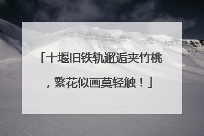十堰旧铁轨邂逅夹竹桃，繁花似画莫轻触！