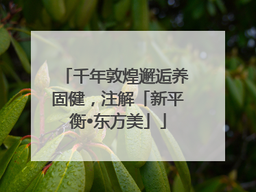 千年敦煌邂逅养固健，注解「新平衡•东方美」