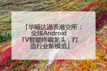 华曦达递表港交所：全球Android TV智能终端龙头，打造行业新模范