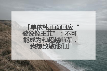 单依纯正面回应“被说像王菲”：不可能成为和超越前辈，我想致敬他们