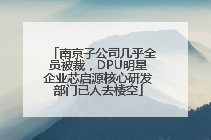 南京子公司几乎全员被裁，DPU明星企业芯启源核心研发部门已人去楼空