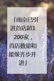 南京已引进首店超1200家，首店数量和能级齐步并进