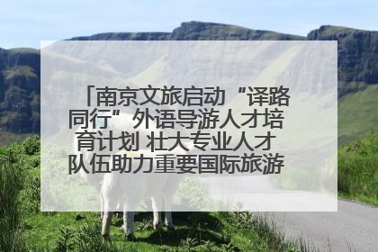 南京文旅启动“译路同行”外语导游人才培育计划 壮大专业人才队伍助力重要国际旅游目的地建设